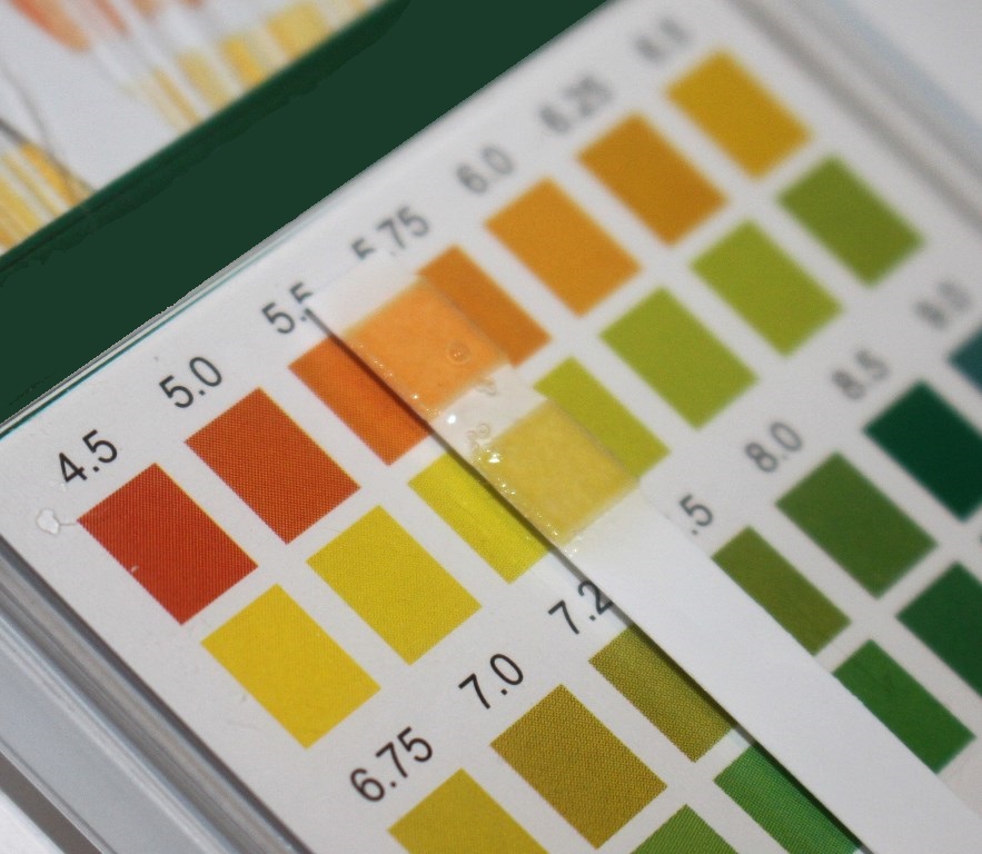 Olive Oil Skincare Company Juniper Orange Face Wash pH test