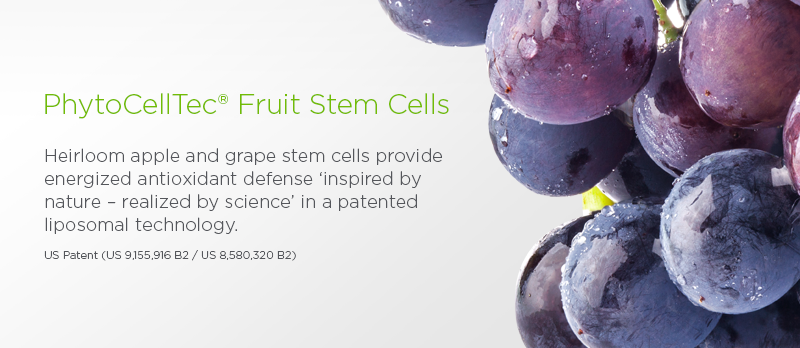 Andalou Fruit Stem Cells (Credit: Andalou Naturals)